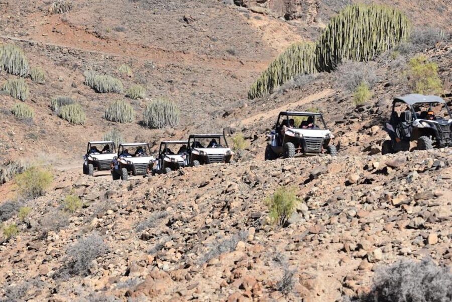 Las Palmas: Gran Canaria Guided Buggy Tour - Key Things I’d Tell a Friend Before You Go