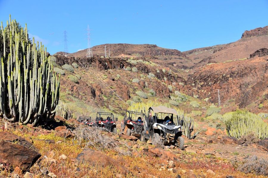 Las Palmas: Gran Canaria Guided Buggy Tour - Where Pickup Really Matters in Las Palmas