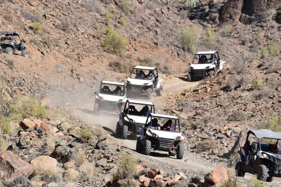 Las Palmas: Gran Canaria Guided Buggy Tour - Booking Checklist: Simple Steps to Avoid Day-Of Surprises