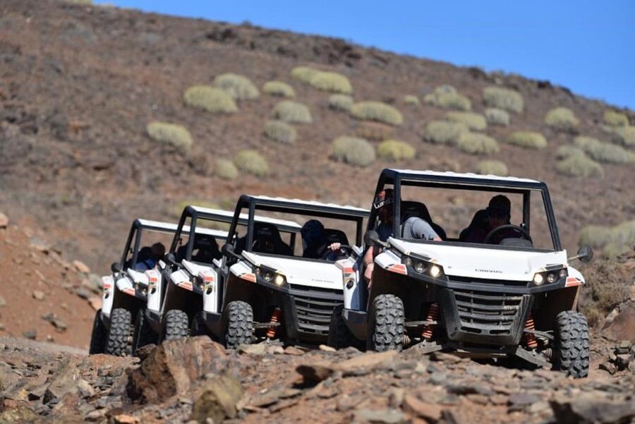 Las Palmas: Gran Canaria Guided Buggy Tour - Price and Value: What $141 Buys You for 2 Hours