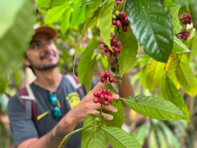 Las Terrenas: Private Coffee Trail ATV Tour in Samana - Las Terrenas to the Ruta del Café: Why This Route Works
