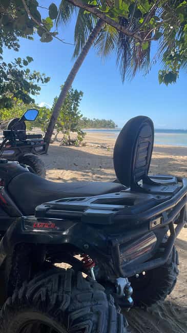 Las Terrenas: Private Coffee Trail ATV Tour in Samana - The Mangrove Beach Stop: A Natural Cooling-Off Moment