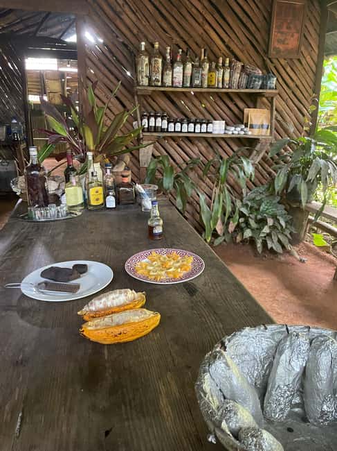 Las Terrenas: Private Coffee Trail ATV Tour in Samana - Price and What $95 Buys You in Real Value