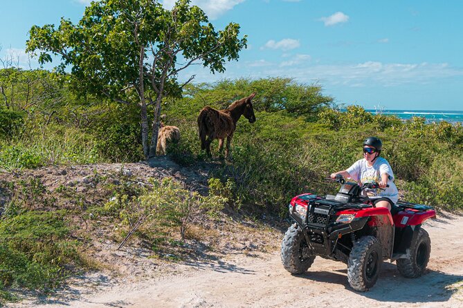 Lets Ride Adventures ATV Tour in Grand Turk - Price and What $80 Buys on Grand Turk