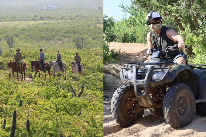 Los Cabos ATV and Pacific Horseback Riding Combo Tour - Horseback riding: local ranch time with real Baja pacing