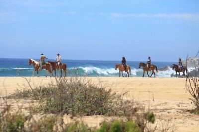 Los Cabos ATV and Pacific Horseback Riding Combo Tour - How the 4-hour flow works (and what to expect at each step)