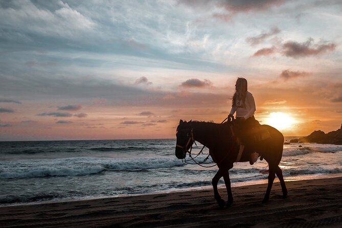 Los Cabos ATV and Pacific Horseback Riding Combo Tour - ATV canyon-and-desert riding with Pacific ocean views