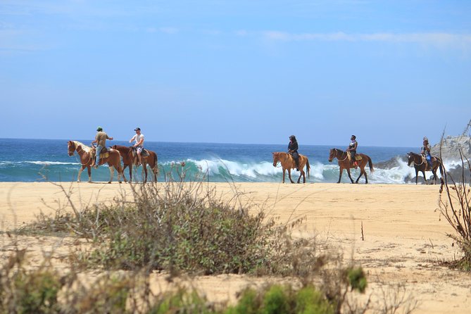 Los Cabos ATV and Pacific Horseback Riding Combo Tour - How the 4-hour flow works (and what to expect at each step)