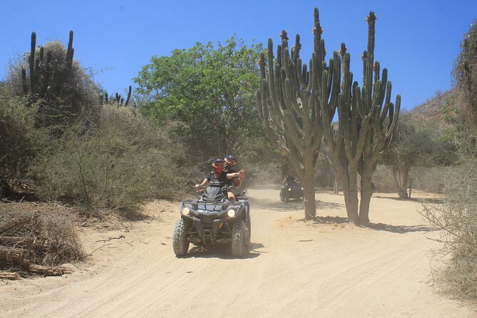 Los Cabos Beach & Desert Tour in Automatic ATV + Tequila Tasting - Tequila tasting at the end: included, but plan for the wait