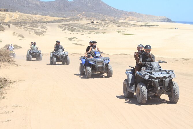 Los Cabos Beach & Desert Tour in Automatic ATV + Tequila Tasting - The century-old cactus stop and the plant explanations you’ll remember