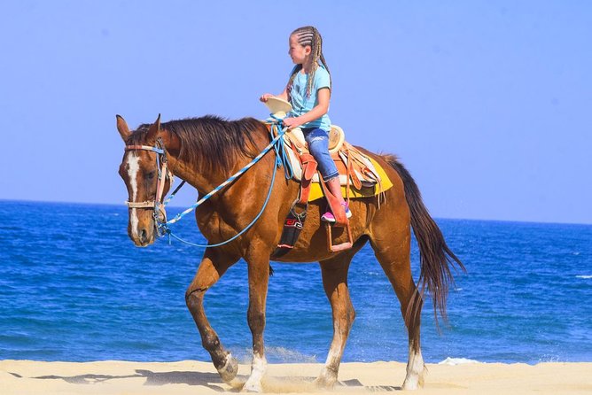 Los Cabos - COMBO Horseback Riding & ATV Tour - Safety Gear, Speed Control, and What You Should Expect