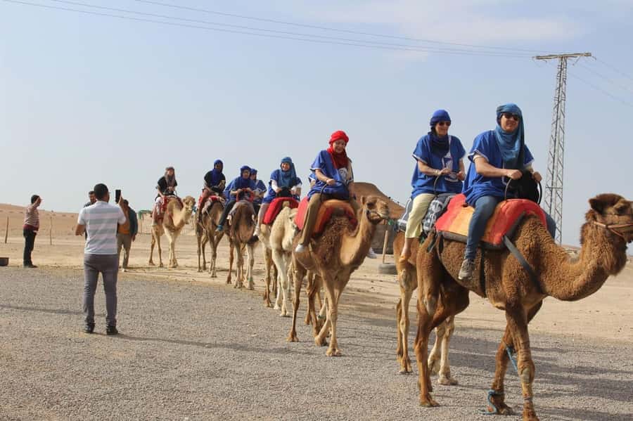 Luxury Agafay Desert : Quad , Camel Ride, Pool & Dinner Show - Key highlights that make this Agafay experience work
