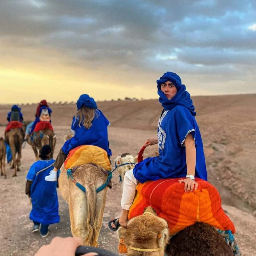 Luxury Agafay Desert : Quad , Camel Ride, Pool & Dinner Show - Who this tour suits best (and who should skip it)