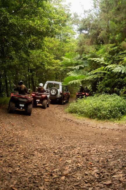 Madeira: Aventura Off-Road de ATV ou Quad - Adrenalina - Should you book Quad Xperience Madeira? My quick decision guide