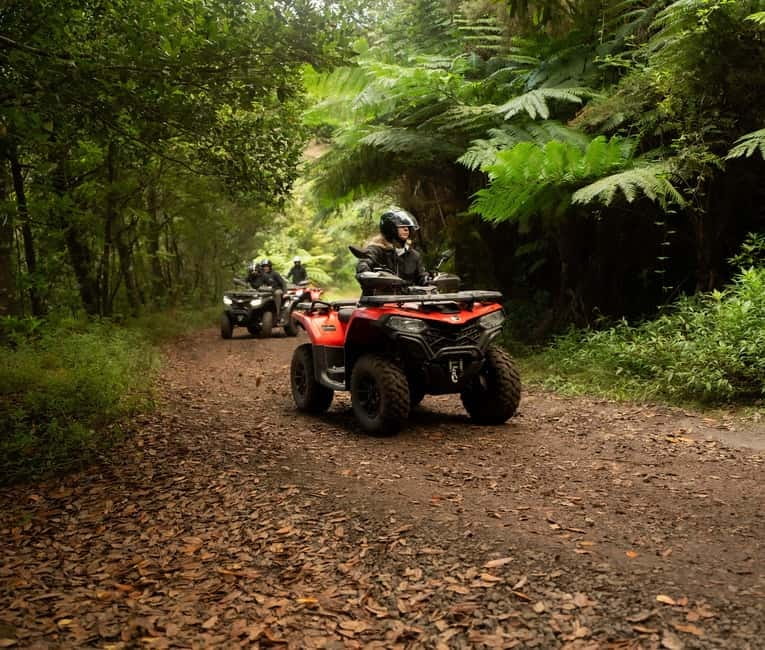 Madeira: Aventura Off-Road de ATV ou Quad - Adrenalina - Price and value: why $116 per person can make sense