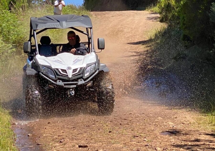 Madeira: Half-Day Off-Road Buggy Tour - Poncha Breaks and Café Stops During Your 3-Hour Adventure
