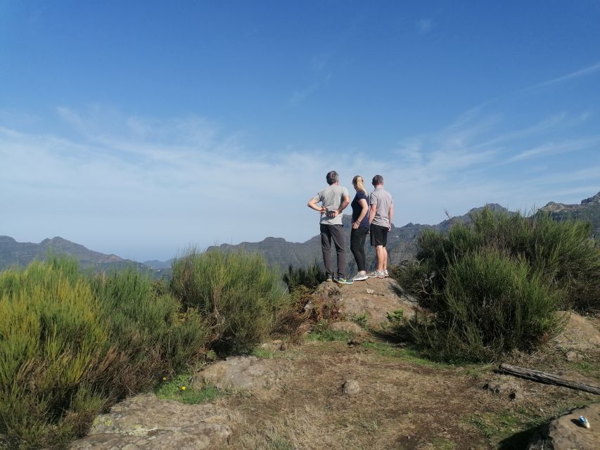 Madeira: Half-Day Off-Road Buggy Tour - Should You Book This Madeira Half-Day Off-Road Buggy Tour?