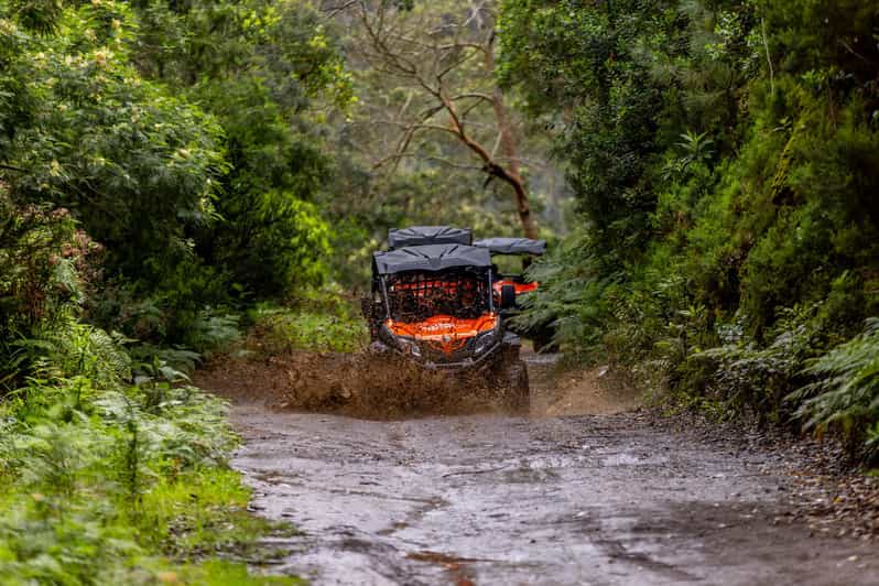 Madeira: Off-Road Buggy Adventure Through Laurissilva Forest - Key things to know before you go