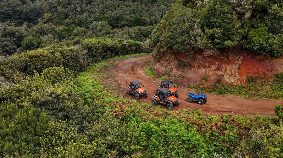 Madeira: Off-Road Buggy Adventure Through Laurissilva Forest - Who should book this buggy adventure (and who should skip it)