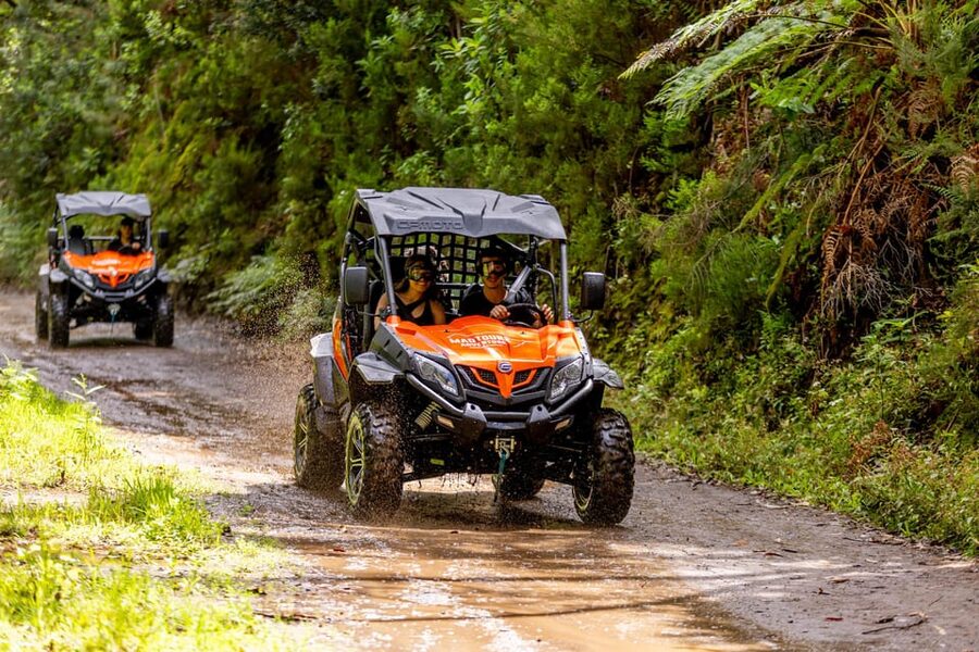 Madeira: Off-Road Buggy Adventure Through Laurissilva Forest - Fajã dos Rolos and Casa das Funduras: where the route becomes a story