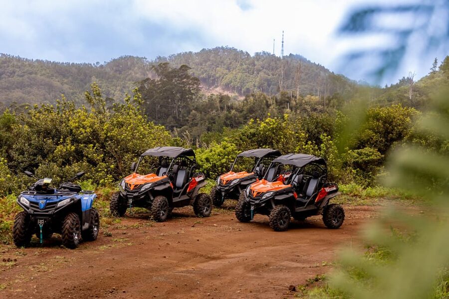Madeira: Off-Road Buggy Adventure Through Laurissilva Forest - Gear tips that matter on a wet off-road route