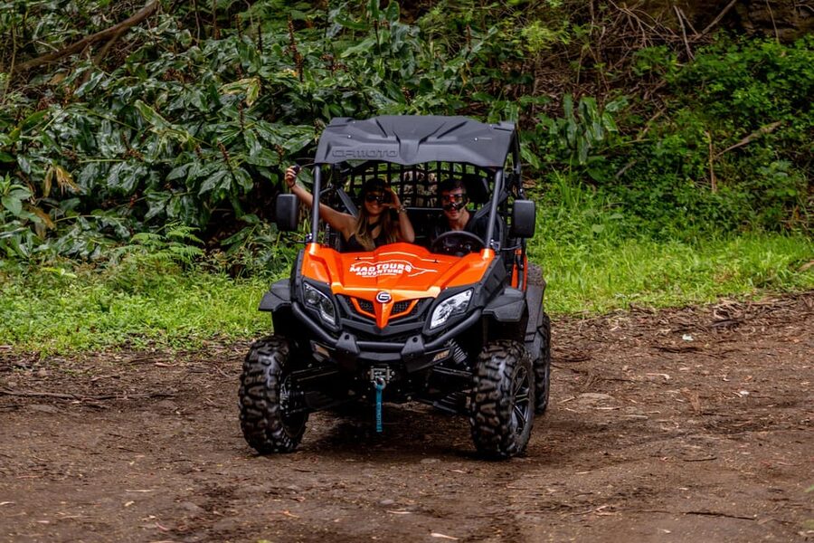 Madeira: Off-Road Buggy Adventure Through Laurissilva Forest - Price and value: $147 per group up to 2, and what you get for it