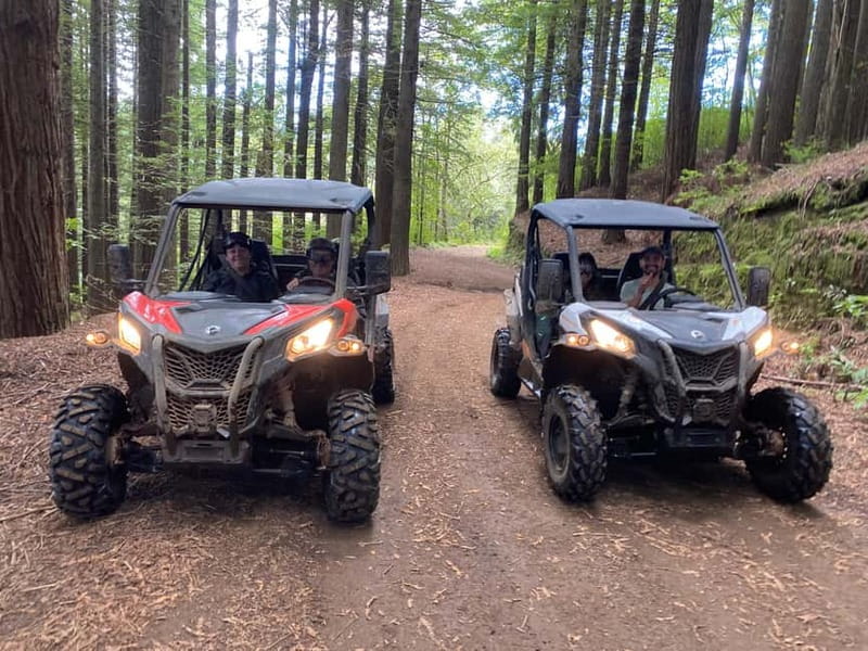 Madeira: Off-Road Buggy Driving Experience - Key things to know before you go