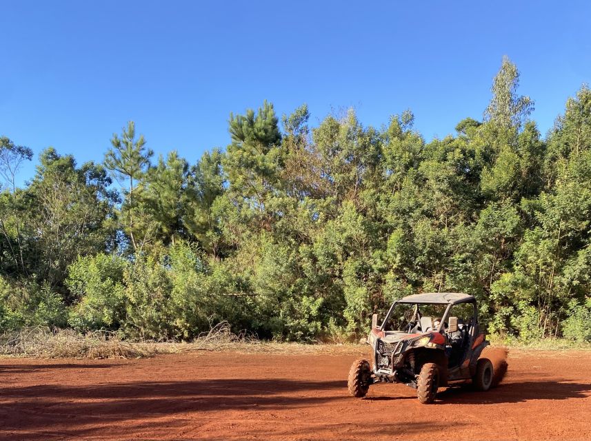 Madeira: Off-Road Buggy Driving Experience - What to bring and wear: muddy-proof your day