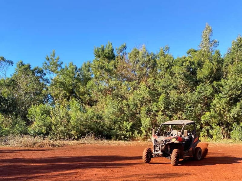 Madeira: Off-Road Buggy Driving Experience - Price and value: what $176 per group really buys