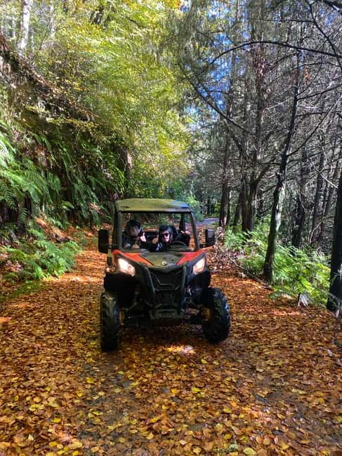 Madeira: Off-Road Buggy Driving Experience - Who this buggy tour is best for
