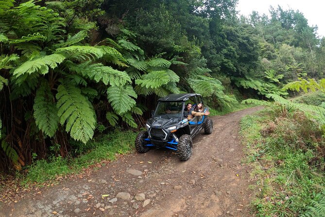 Madeira Private Buggy Adventure: Forest and Mountains - Polaris RZR XP 1000: why this buggy day feels different