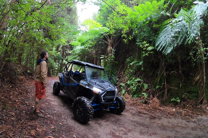 Madeira Private Buggy Adventure: Forest and Mountains - Safety briefing first: how the guide keeps it fun