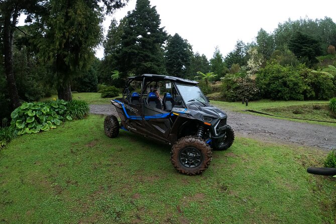 Madeira Private Buggy Adventure: Forest and Mountains - The route pattern: on-road climbs, then off-road thrills