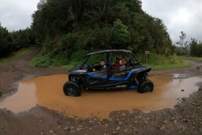 Madeira Private Buggy Adventure: Forest and Mountains - Laurissilva Forest: the nature stop that sets the tone