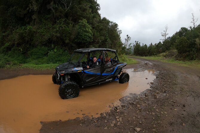 Madeira Private Buggy Adventure: Forest and Mountains - Views and clouds: the payoff that makes the bumpy bits worth it