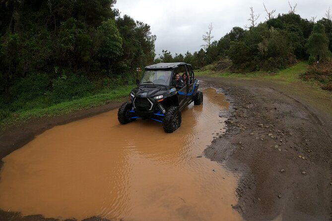 Madeira Private Buggy Adventure: Forest and Mountains - What’s included, what isn’t, and how to pack like a pro
