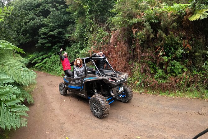 Madeira Private Buggy Adventure: Forest and Mountains - The human touch: Roberto’s guiding style and local tips