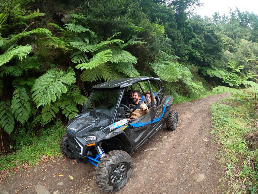 Madeira Private Buggy Adventure: Mountains and Forests - Key things that make this Madeira buggy ride worth it