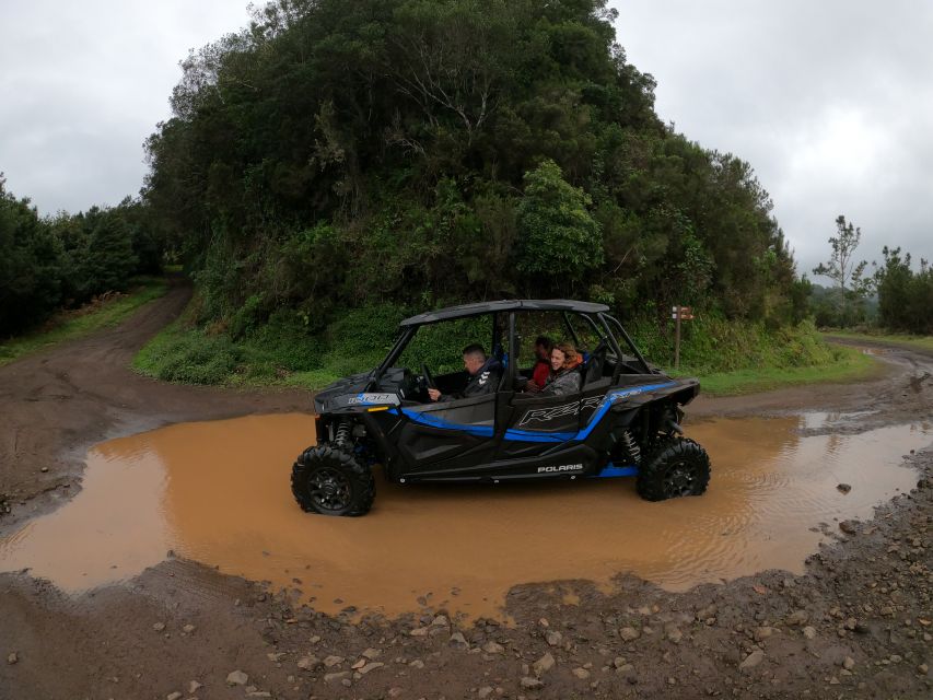 Madeira Private Buggy Adventure: Mountains and Forests - Who this Madeira buggy adventure suits best