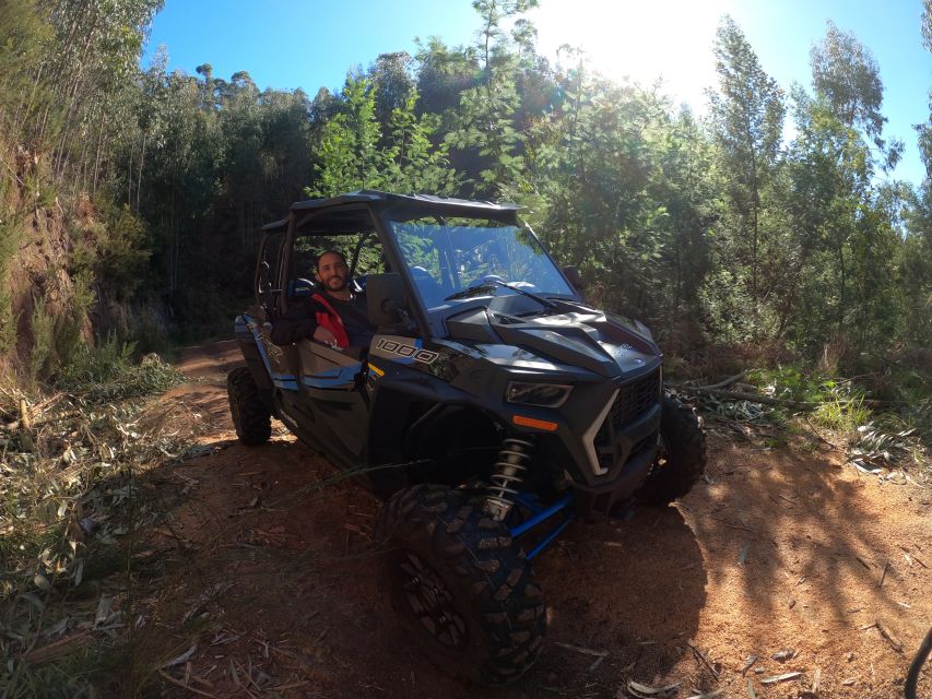 Madeira Private Buggy Adventure: Mountains and Forests - Polaris RZR XP4 buggy in Madeira: the right kind of thrill