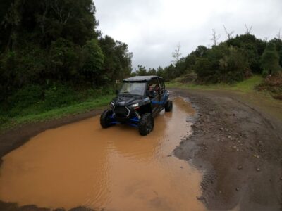 Madeira Private Buggy Adventure: Mountains and Forests - Funchal to Pico Alto: getting your bearings fast