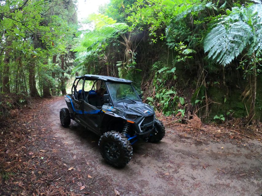 Madeira Private Buggy Adventure: Mountains and Forests - Portela viewpoint and Penha d’Águia: when the coast comes into focus