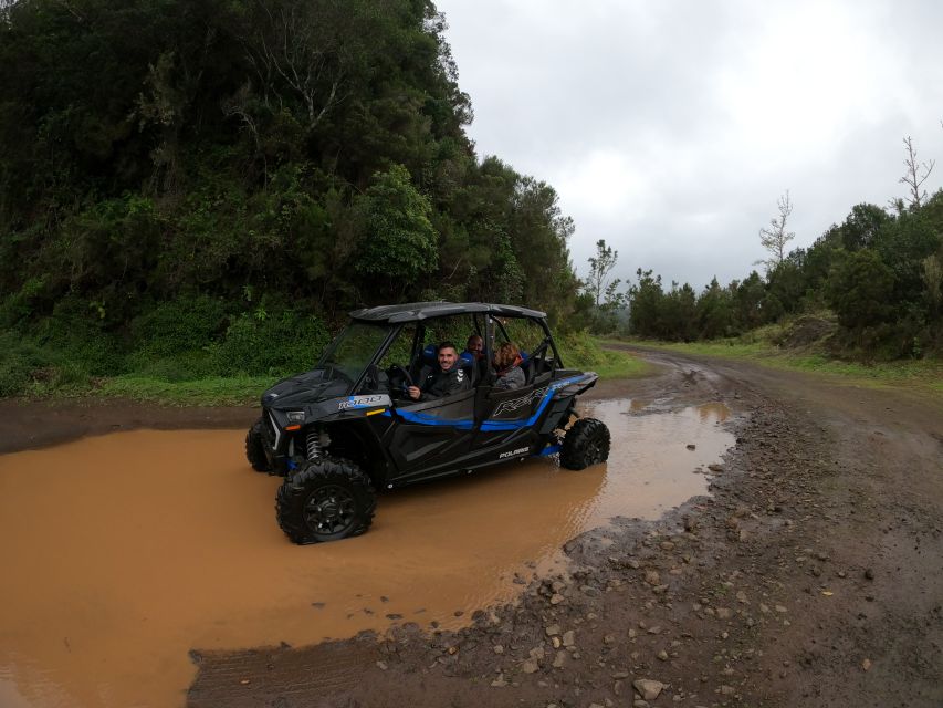 Madeira Private Buggy Adventure: Mountains and Forests - Serra das Funduras and the Laurissilva Forest: the real reason to come here