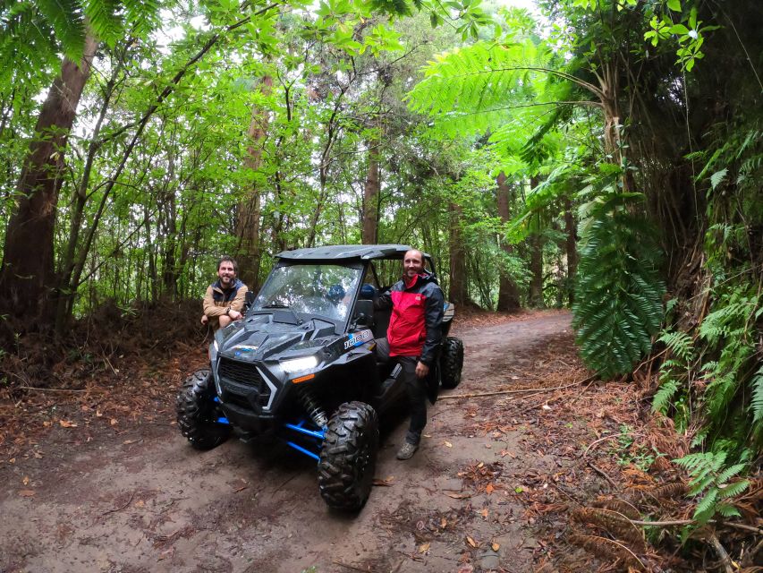 Madeira Private Buggy Adventure: Mountains and Forests - Price and value: what $212 buys you (and why it can be fair)