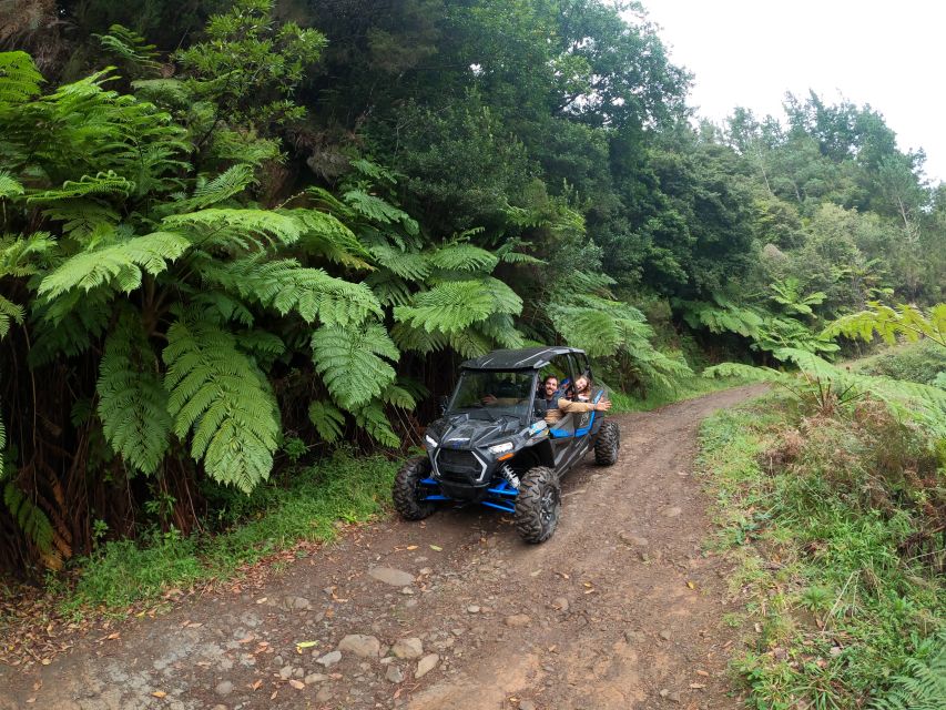 Madeira Private Buggy Adventure: Mountains and Forests - What to bring (and what to wear) for a muddy, windy Madeira day