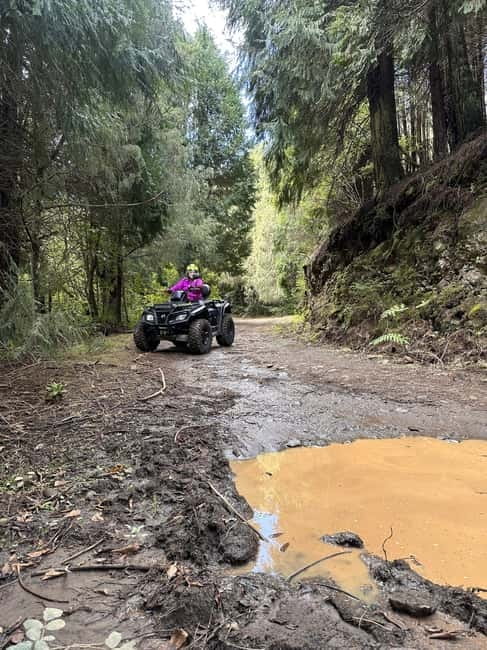 Madeira:Private Mountain Quad Adventure–Explore Wild Madeira - Why This Madeira Quad Adventure Feels Wilder Than Normal Tours