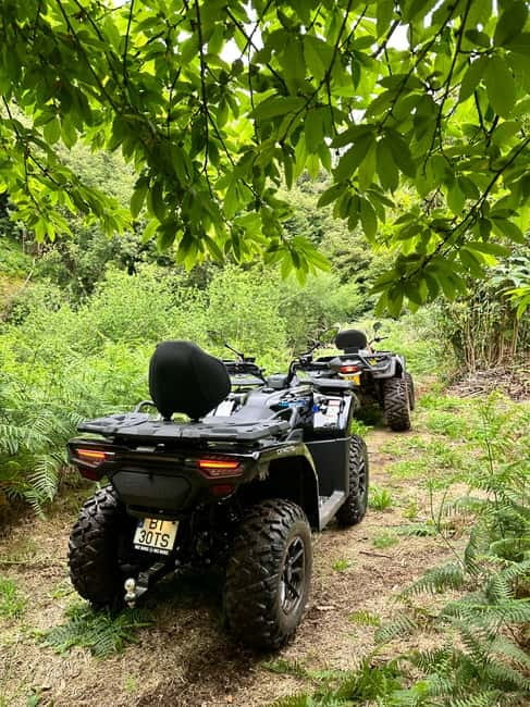 Madeira:Private Mountain Quad Adventure–Explore Wild Madeira - UNESCO Laurel Forest Riding: The Safety-First Kind of Adventurous