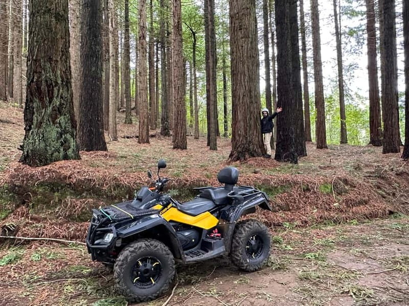 Madeira:Private Mountain Quad Adventure–Explore Wild Madeira - Century-Old Sequoias: Madeira’s Oddball Stop That’s Worth the Detour