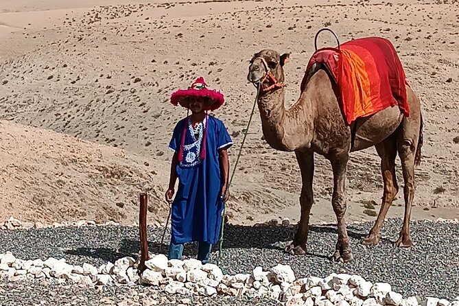 Magical dinner show and camel ride & Quad Bike in Agafay desert - Who should book this Agafay camel ride and quad dinner experience