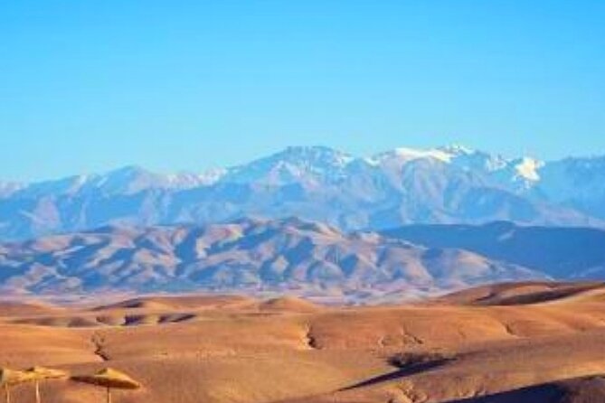 Magical Dinner show and Quad bike In Agafay Desert Marrakech - Price and value: what $12.78 gets you in Agafay